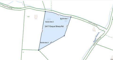 2417 Esque Sharp Rd Mount Pleasant TN 38474