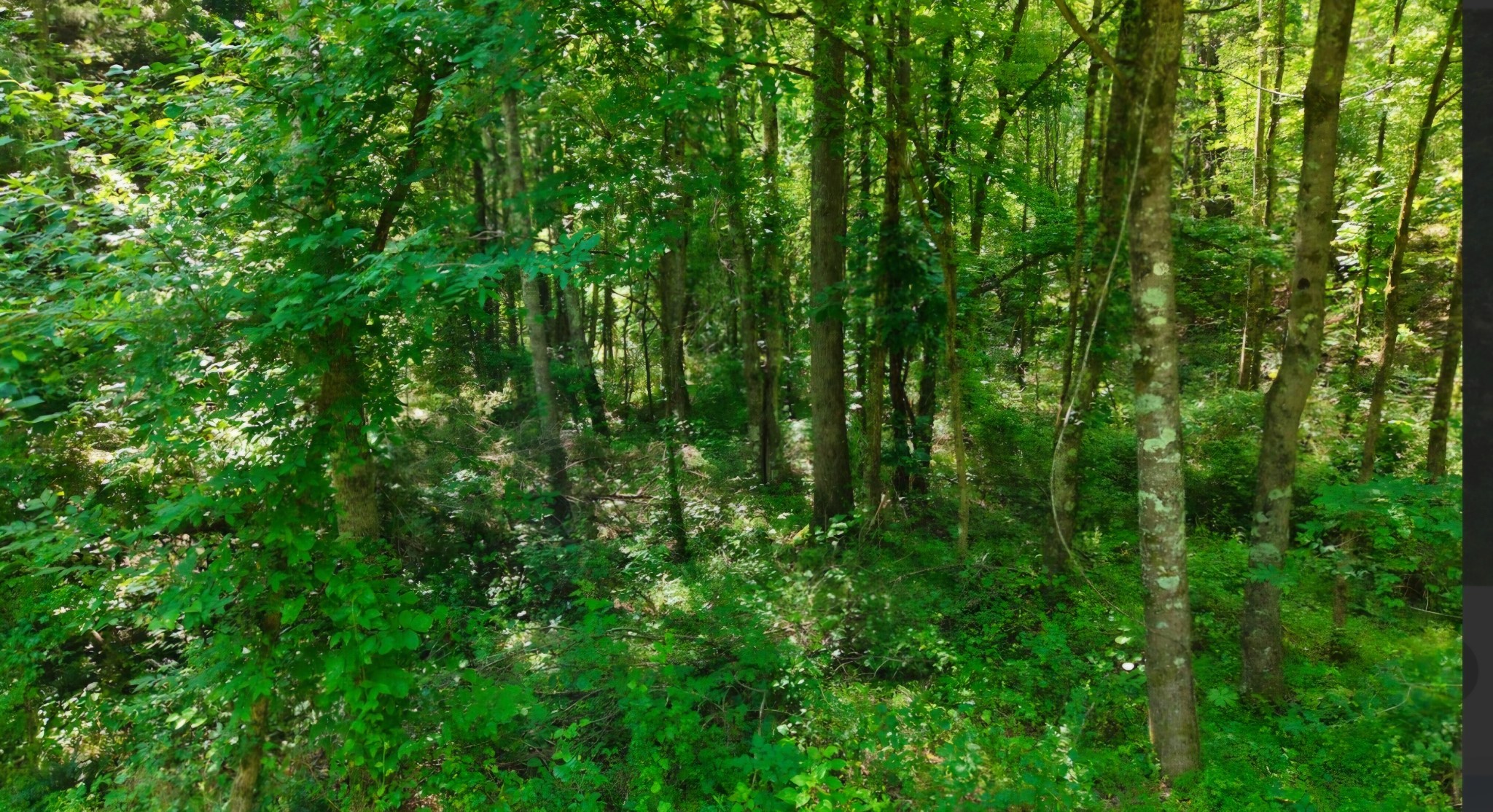 0 Beech Ridge Rd