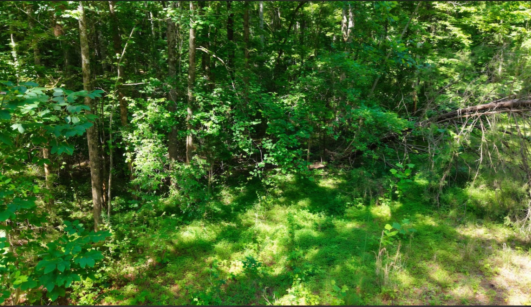 0 Beech Ridge Rd