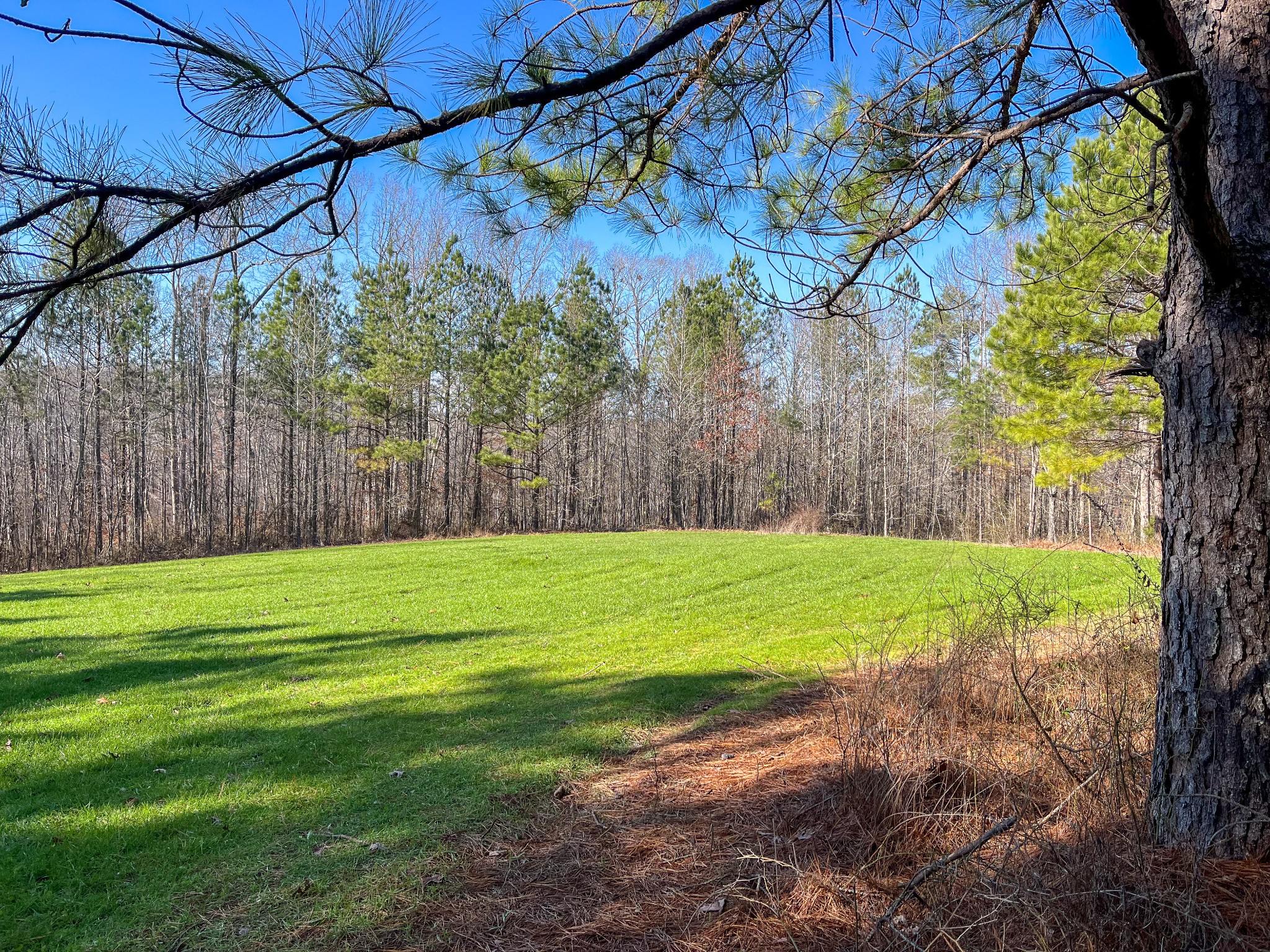 0 Hurricane Creek Road