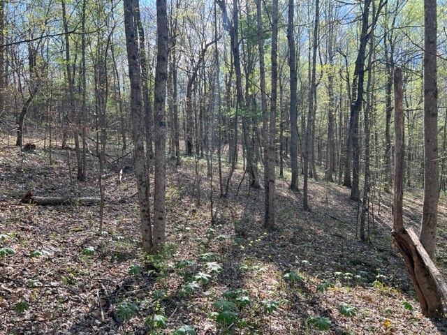 Photo 27 of 61 of 0 Eight Mile Lane land