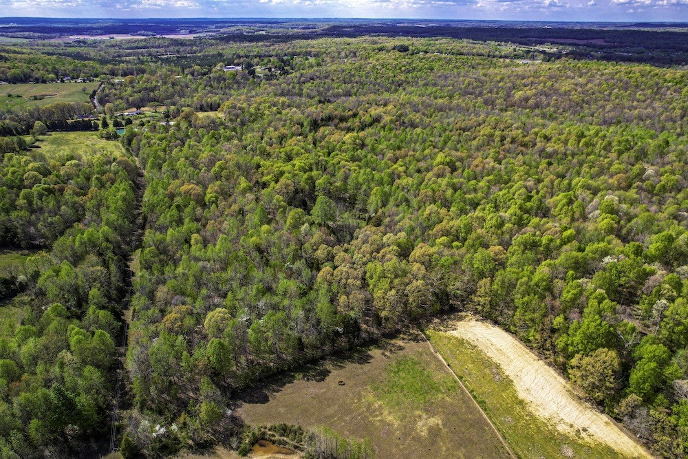Photo 5 of 61 of 0 Eight Mile Lane land