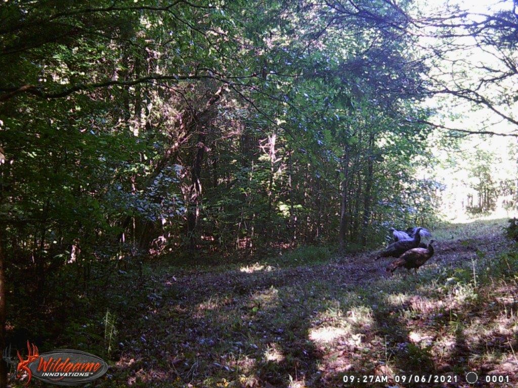 Photo 45 of 61 of 0 Eight Mile Lane land