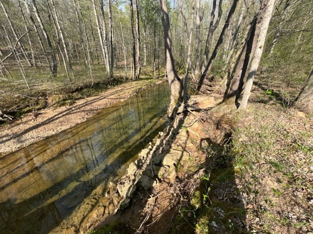 Photo 29 of 61 of 0 Eight Mile Lane land