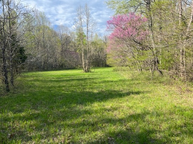 Photo 34 of 61 of 0 Eight Mile Lane land
