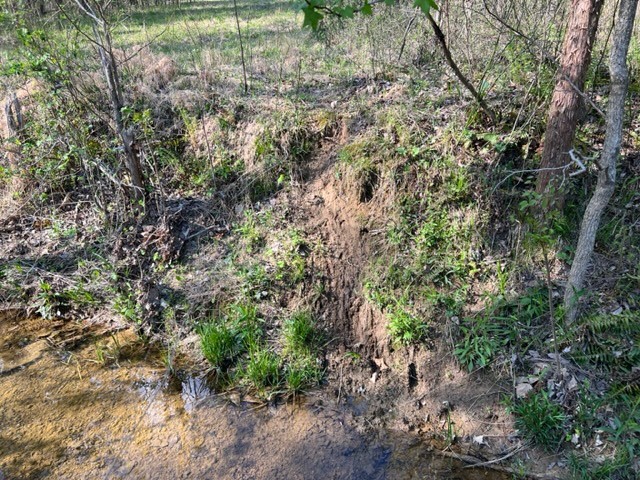 Photo 19 of 61 of 0 Eight Mile Lane land