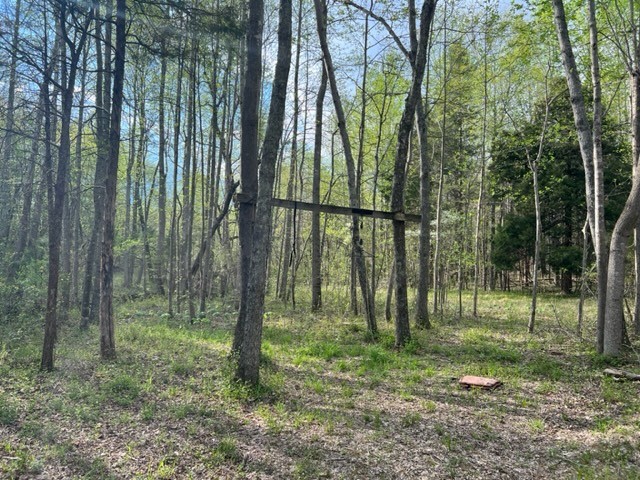 Photo 39 of 61 of 0 Eight Mile Lane land