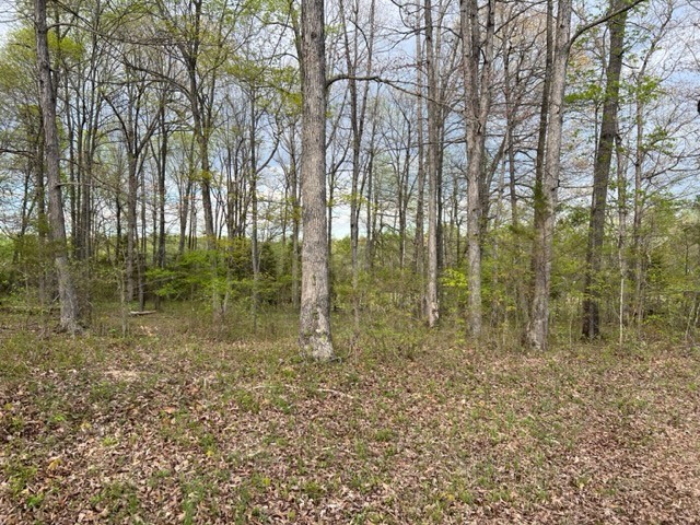 Photo 43 of 61 of 0 Eight Mile Lane land