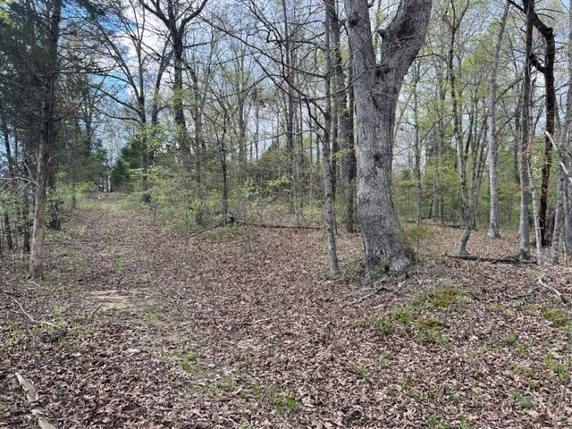 Photo 42 of 61 of 0 Eight Mile Lane land