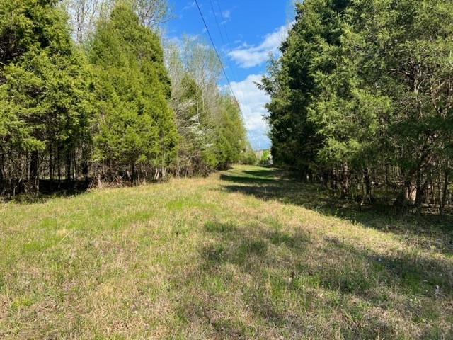 Photo 20 of 61 of 0 Eight Mile Lane land