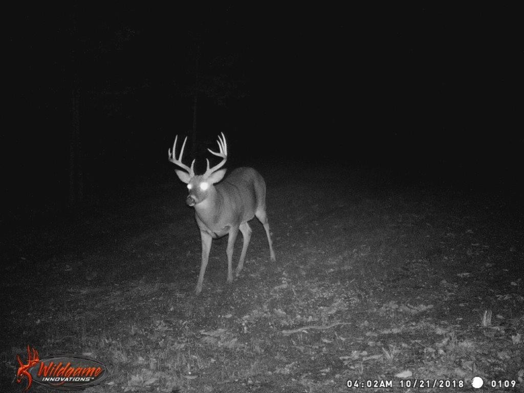 Photo 50 of 61 of 0 Eight Mile Lane land