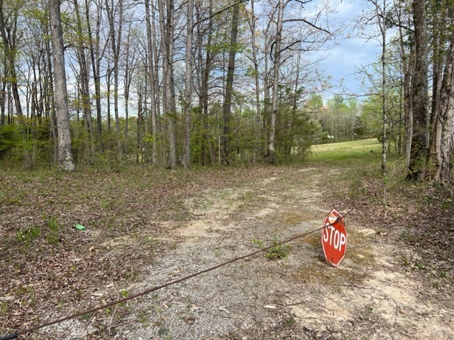 Photo 41 of 61 of 0 Eight Mile Lane land