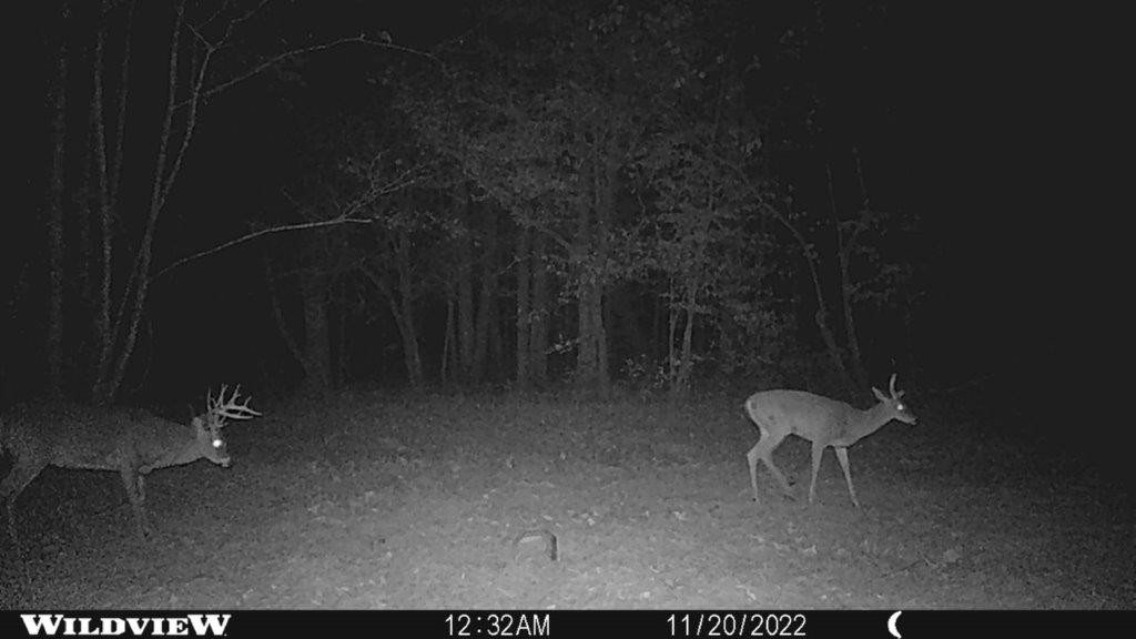 Photo 58 of 61 of 0 Eight Mile Lane land