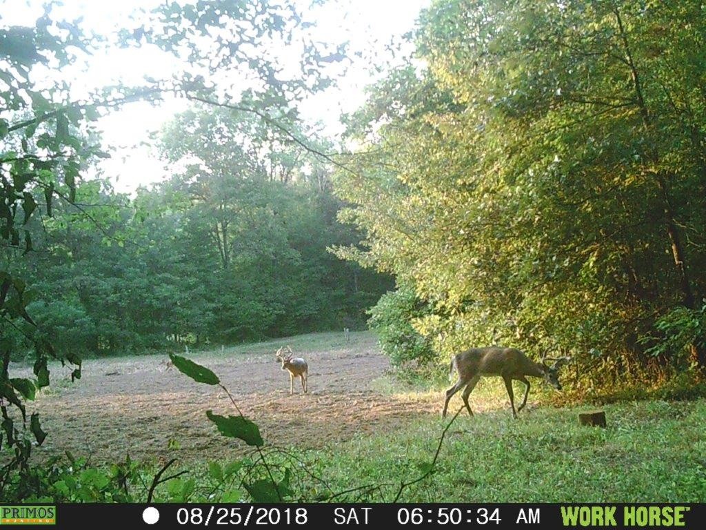 Photo 44 of 61 of 0 Eight Mile Lane land