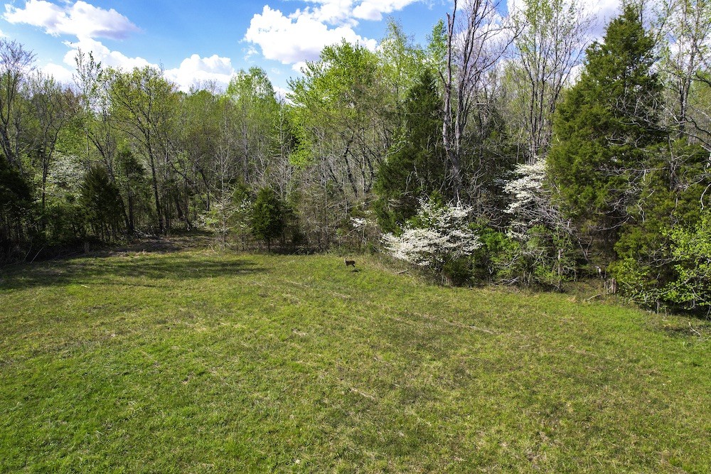 Photo 4 of 61 of 0 Eight Mile Lane land