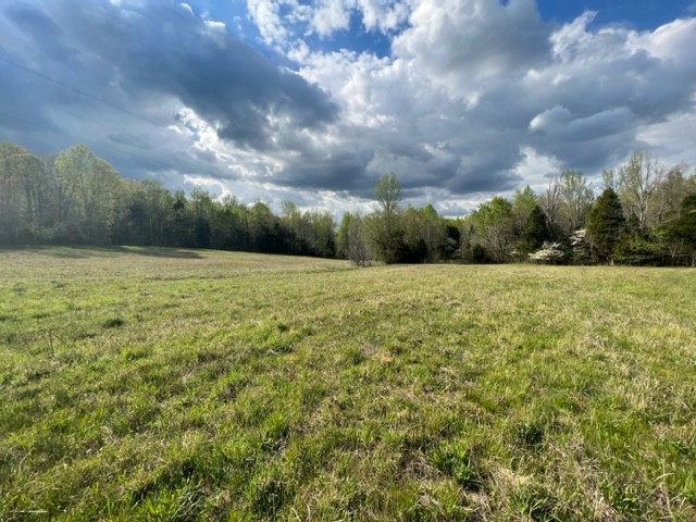 Photo 18 of 61 of 0 Eight Mile Lane land