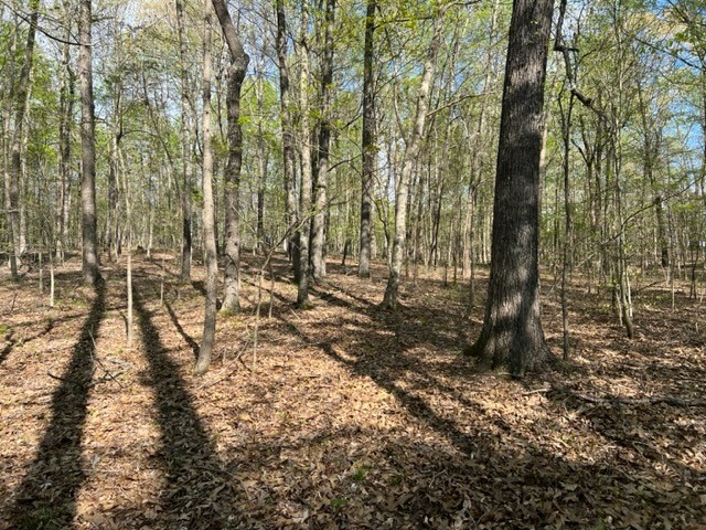 Photo 23 of 61 of 0 Eight Mile Lane land