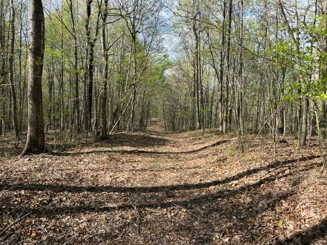 Photo 25 of 61 of 0 Eight Mile Lane land