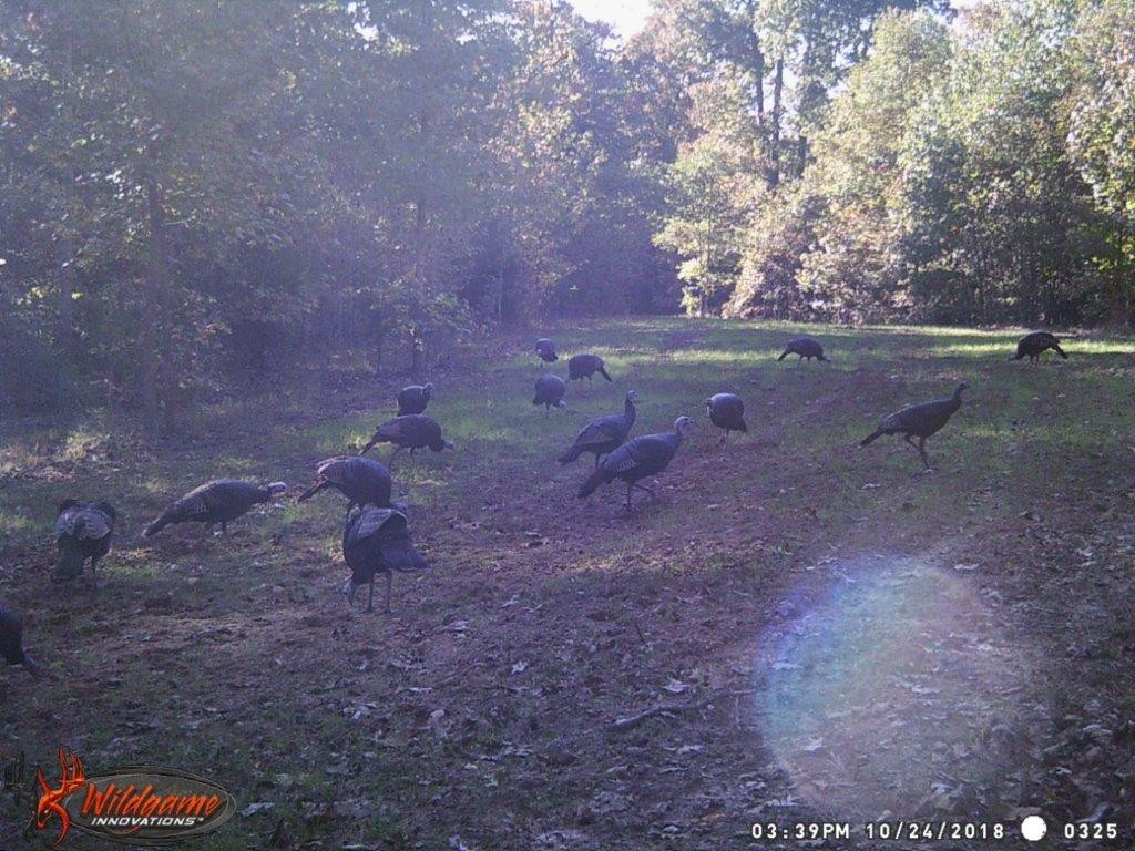 Photo 54 of 61 of 0 Eight Mile Lane land