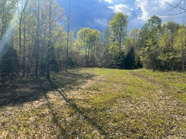 Photo 26 of 61 of 0 Eight Mile Lane land