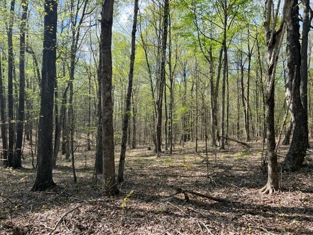 Photo 24 of 61 of 0 Eight Mile Lane land