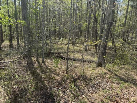 0 Lewis Road Chapmansboro TN 37035