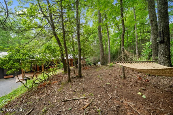 515 Johnson Lane