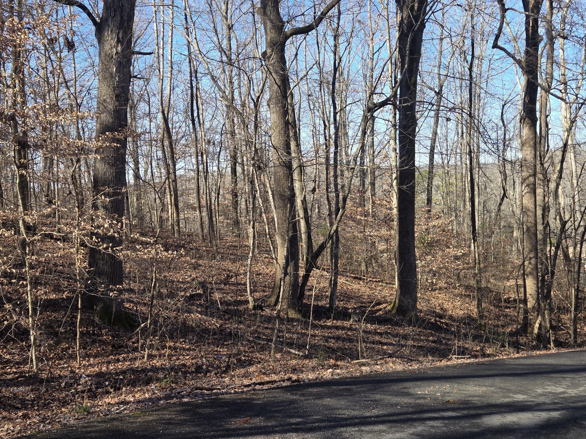 Photo 1 of 4 — 0 Westwood Dr Main St, Waverly, TN 37185