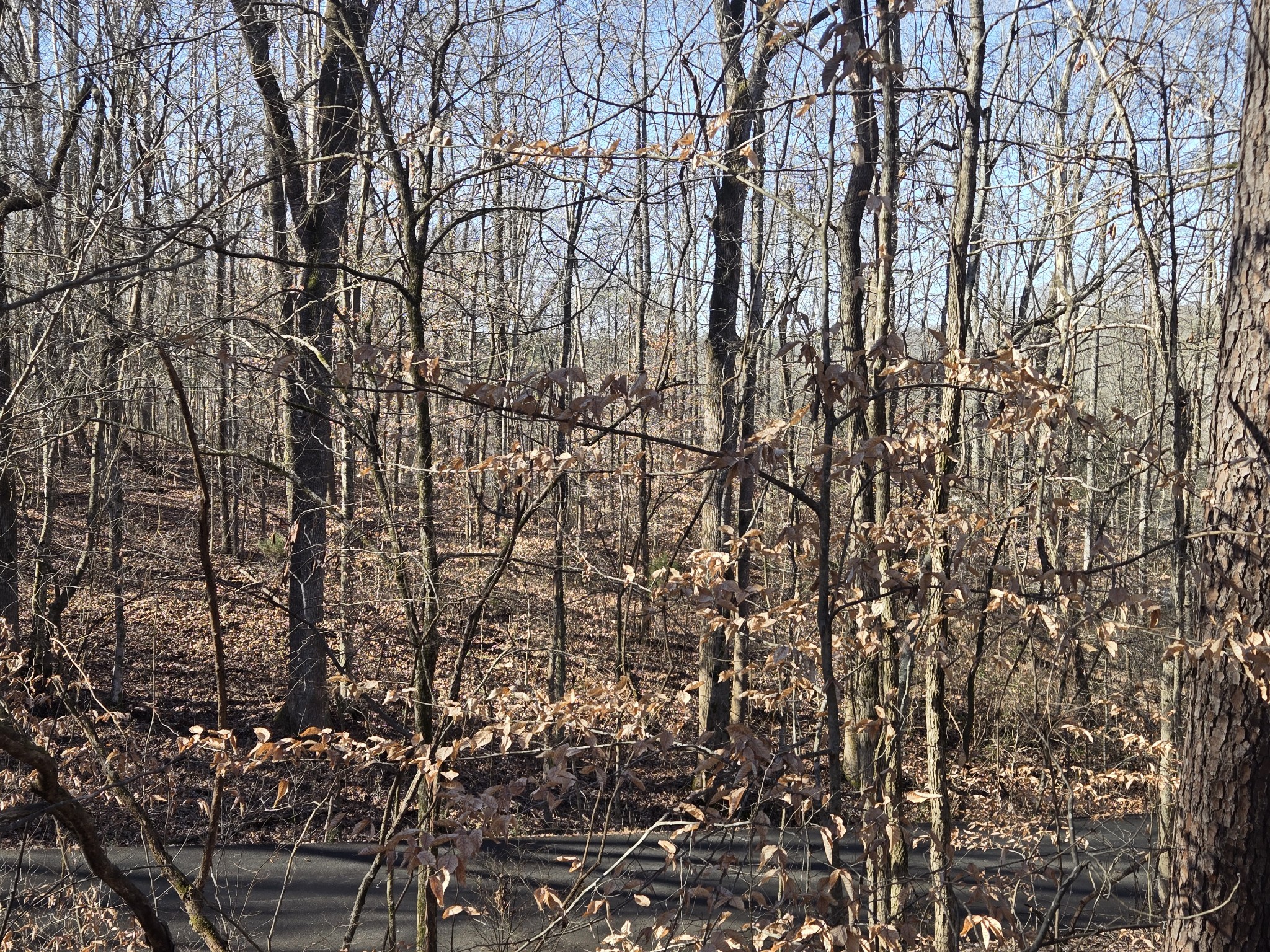 0 Westwood Dr Main St