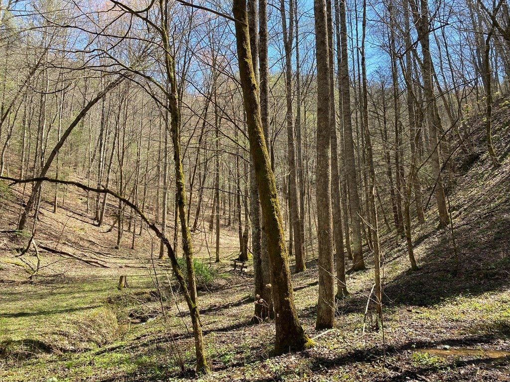 0 Valley Springs Way