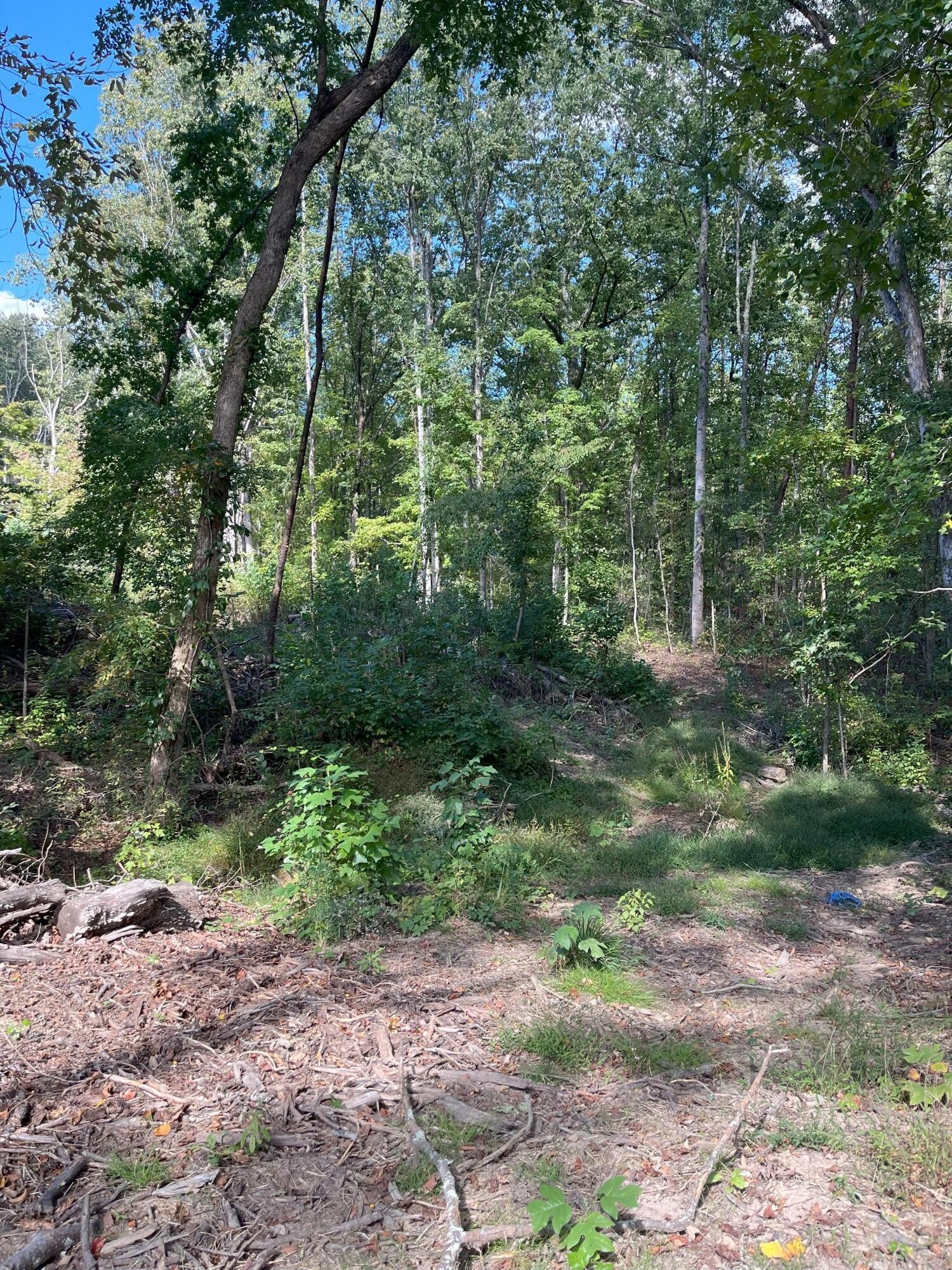 0 N Dug Gap Road