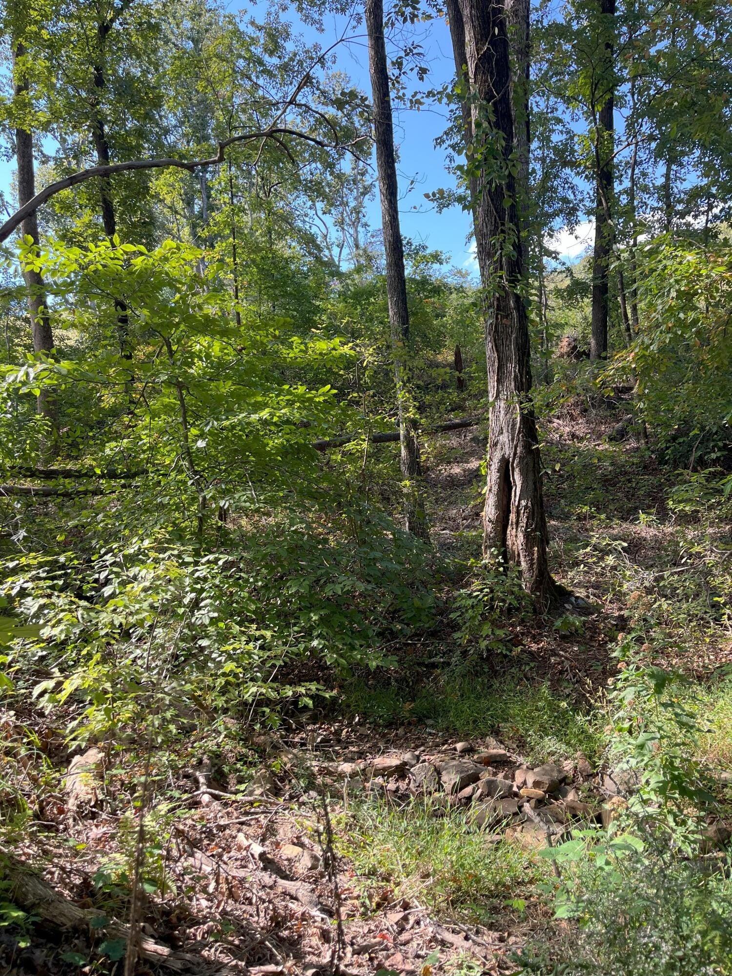 0 N Dug Gap Road