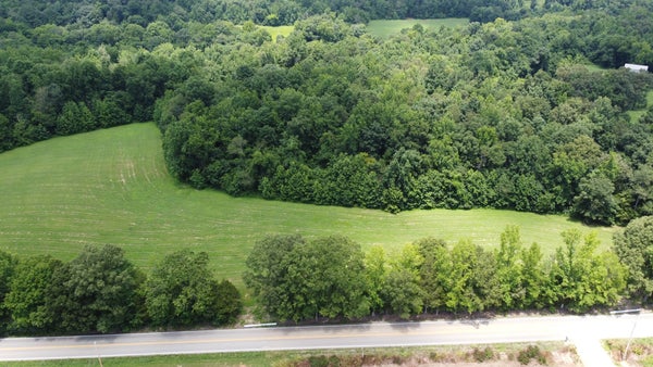 104 HAYES RIDGE RD, INDIAN MOUND, TN 37079 - Image c02e4eadea533fab4efad6ae62e31f1c/299120178