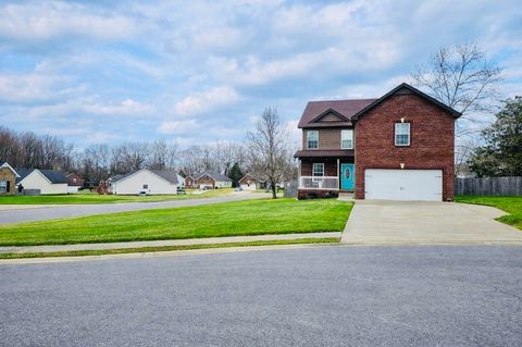 Photo of 349 Chestnut Grove Ct, Clarksville, TN 37042 (MLS # 3143515)