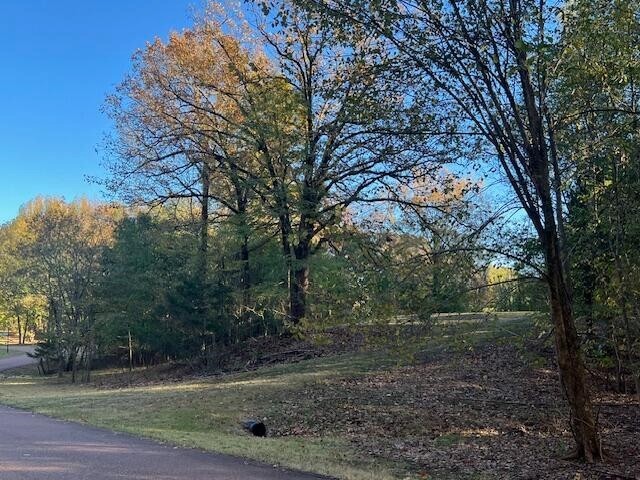 9021 E PLANTERS VIEW CV