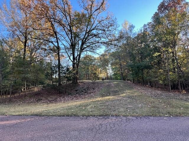 9021 E PLANTERS VIEW CV