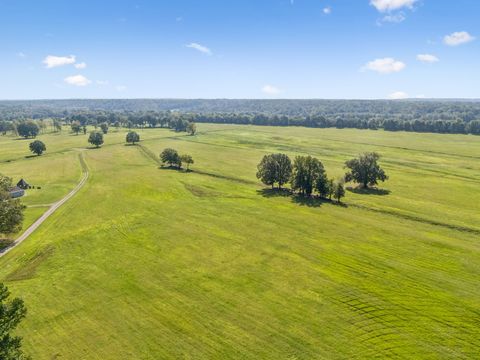 11200 Highway 142 Shiloh TN 38376