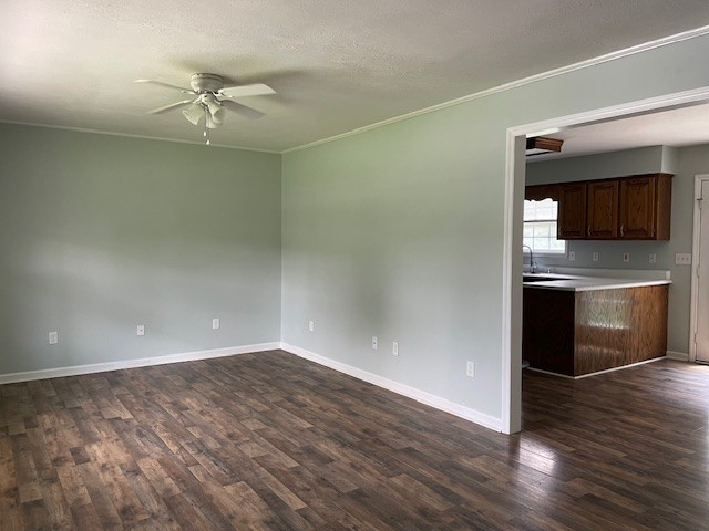 298 Dale Haven Ln