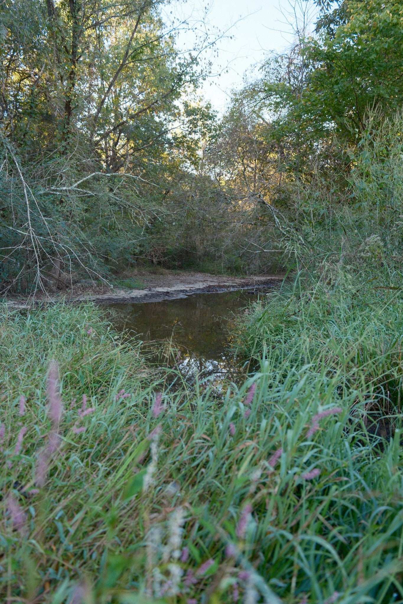 0 Lane Branch Rd