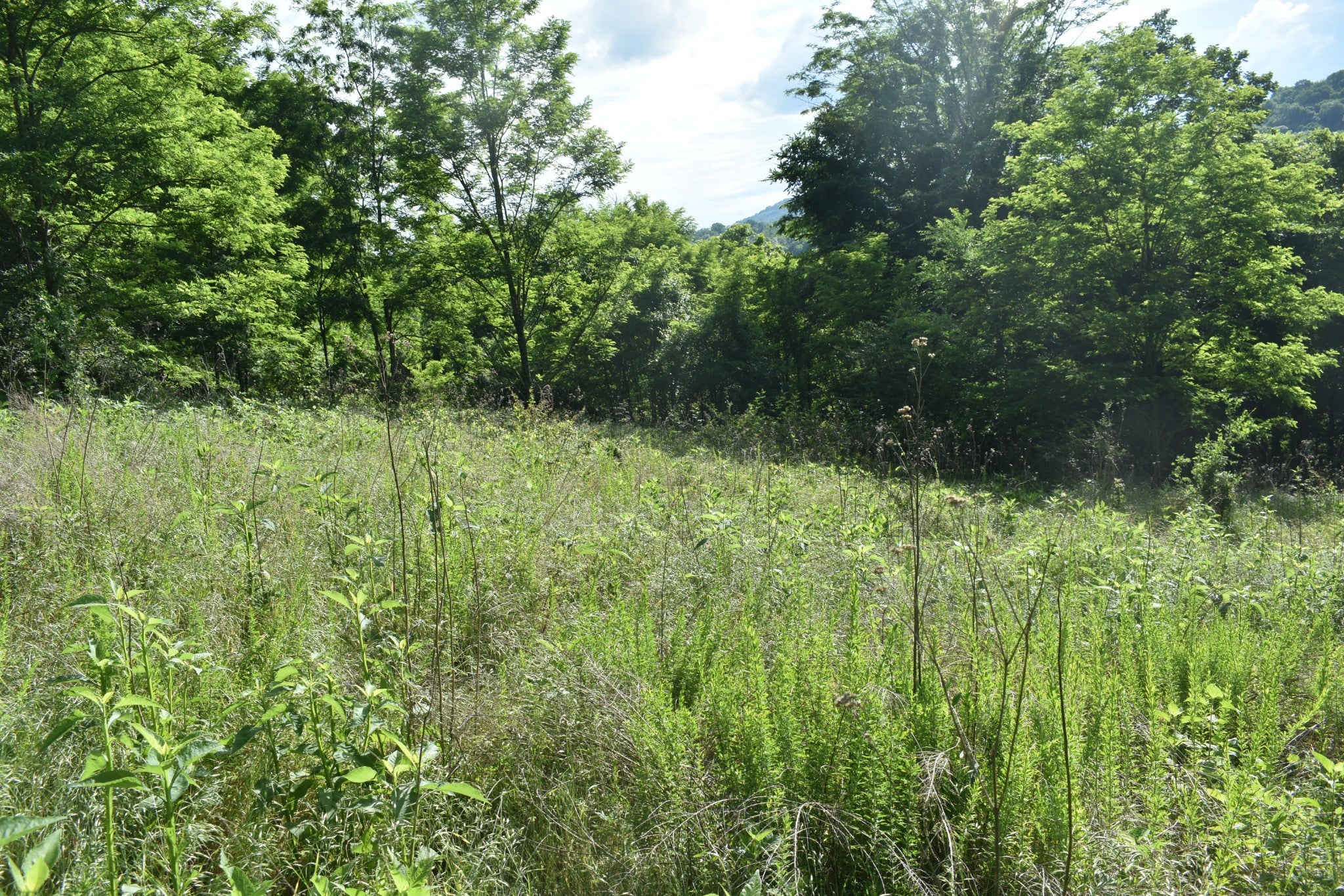 0 Brooks Bend Lane