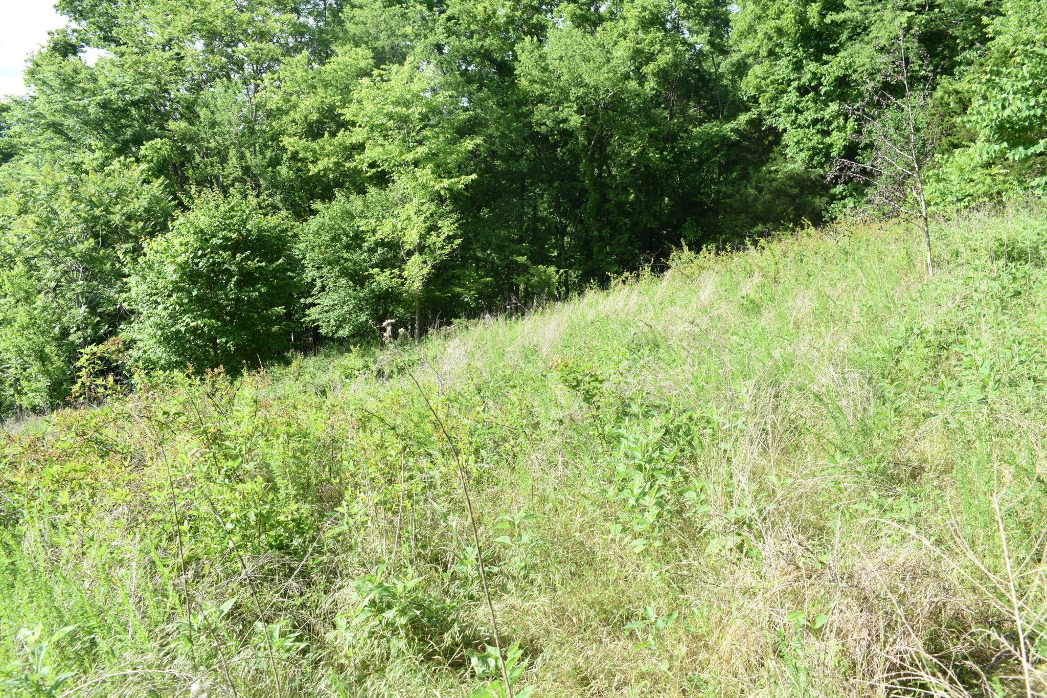 0 Brooks Bend Lane