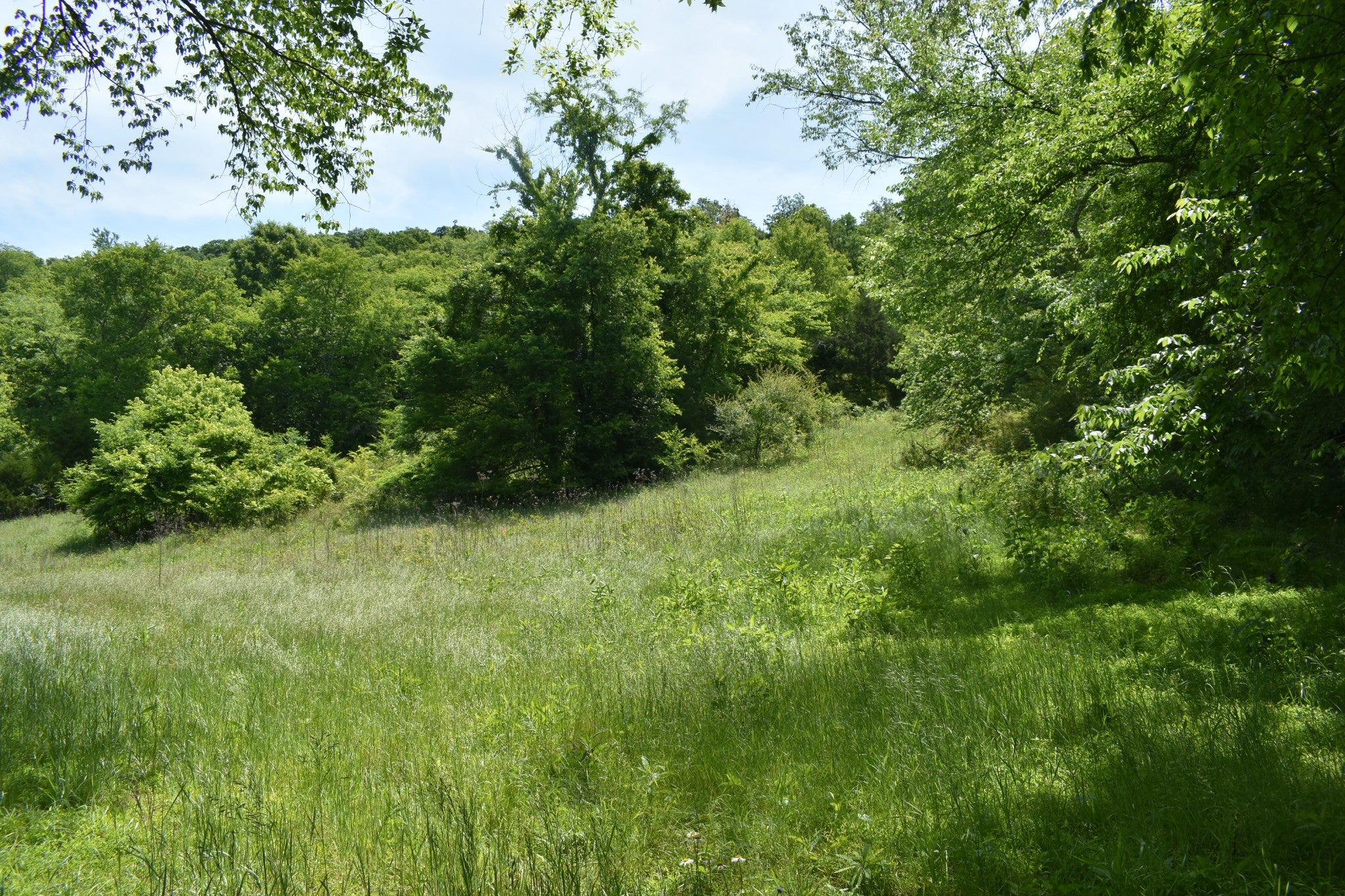 0 Brooks Bend Lane