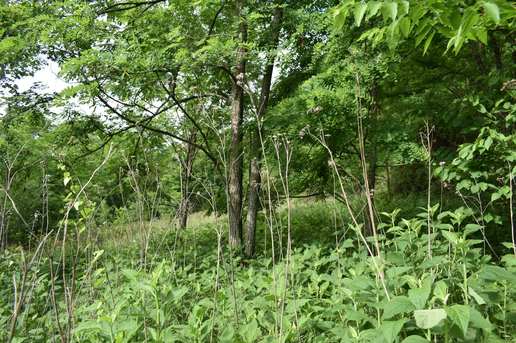 0 Brooks Bend Lane
