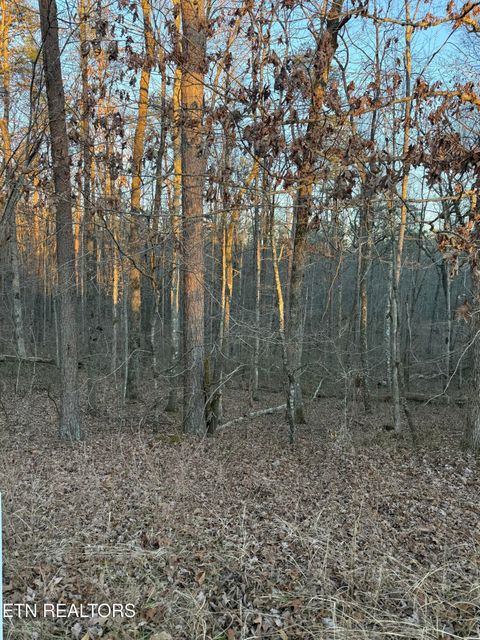 5 W Laurel Way Monterey TN 38574