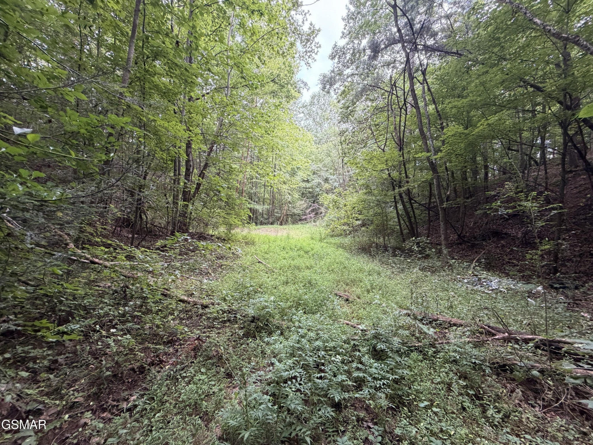 0 Forge Hideaway Road