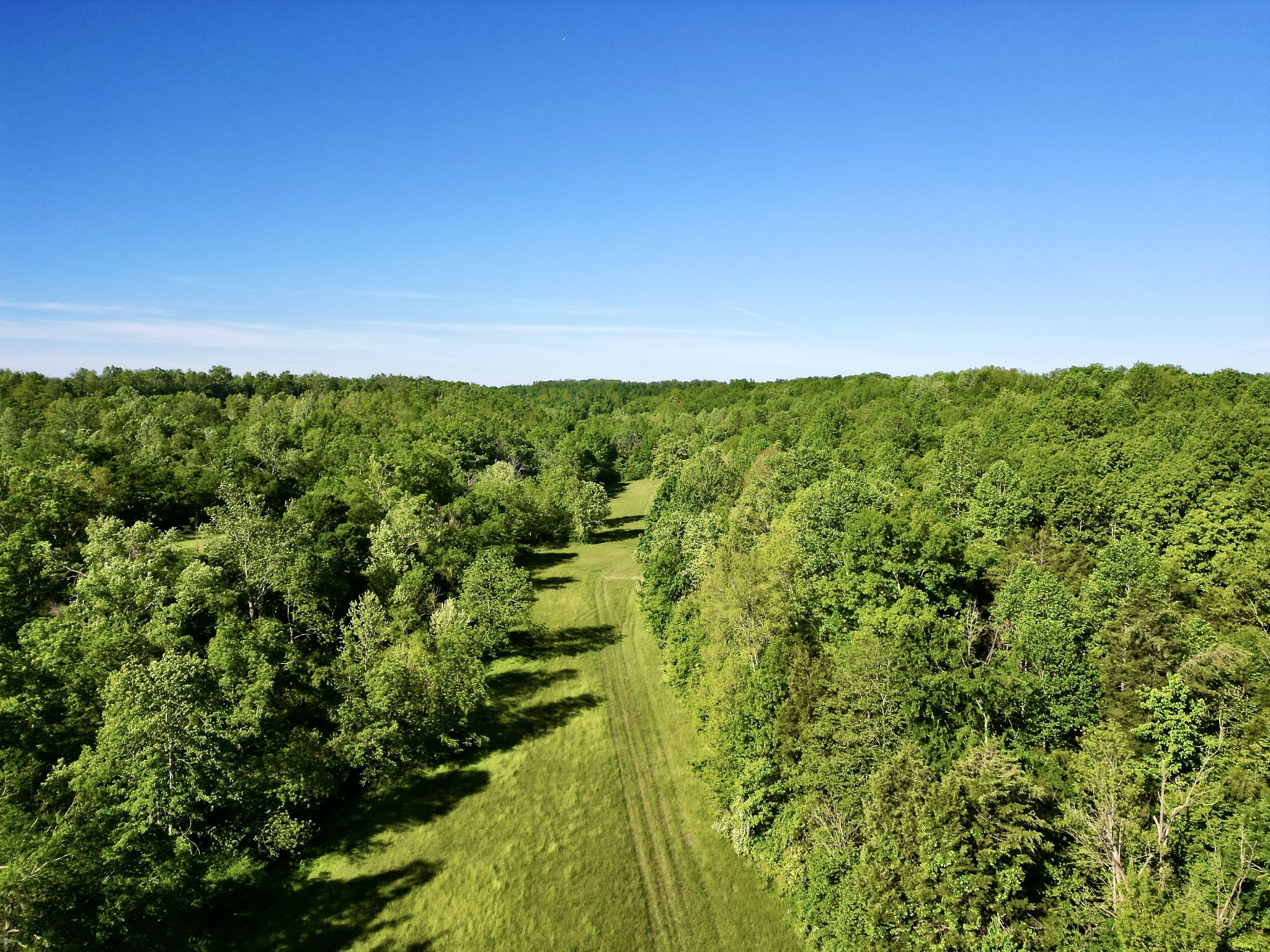 1920 Old Gallatin Rd