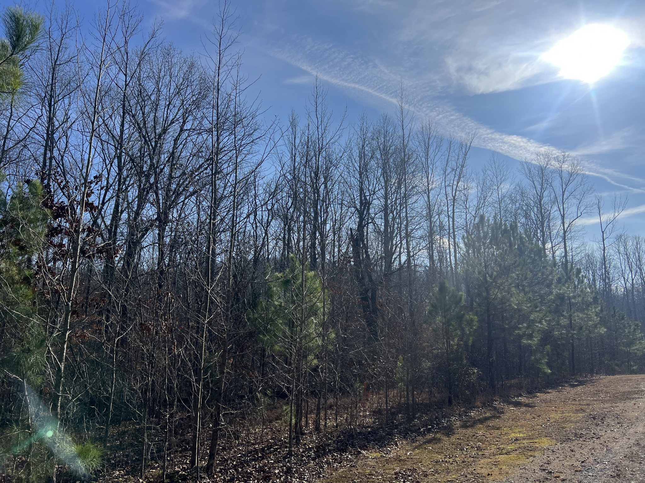 240 War Eagle Dr Lot 121