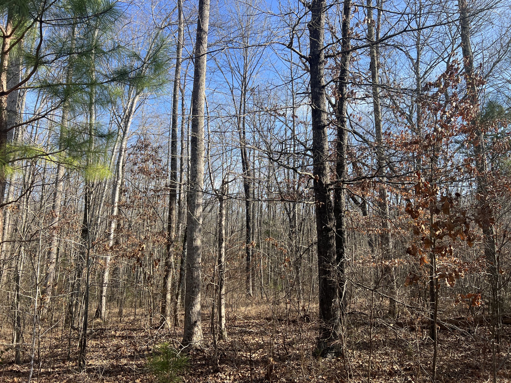 240 War Eagle Dr Lot 121