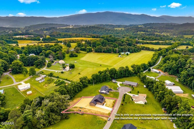 249 Buttercup Fields