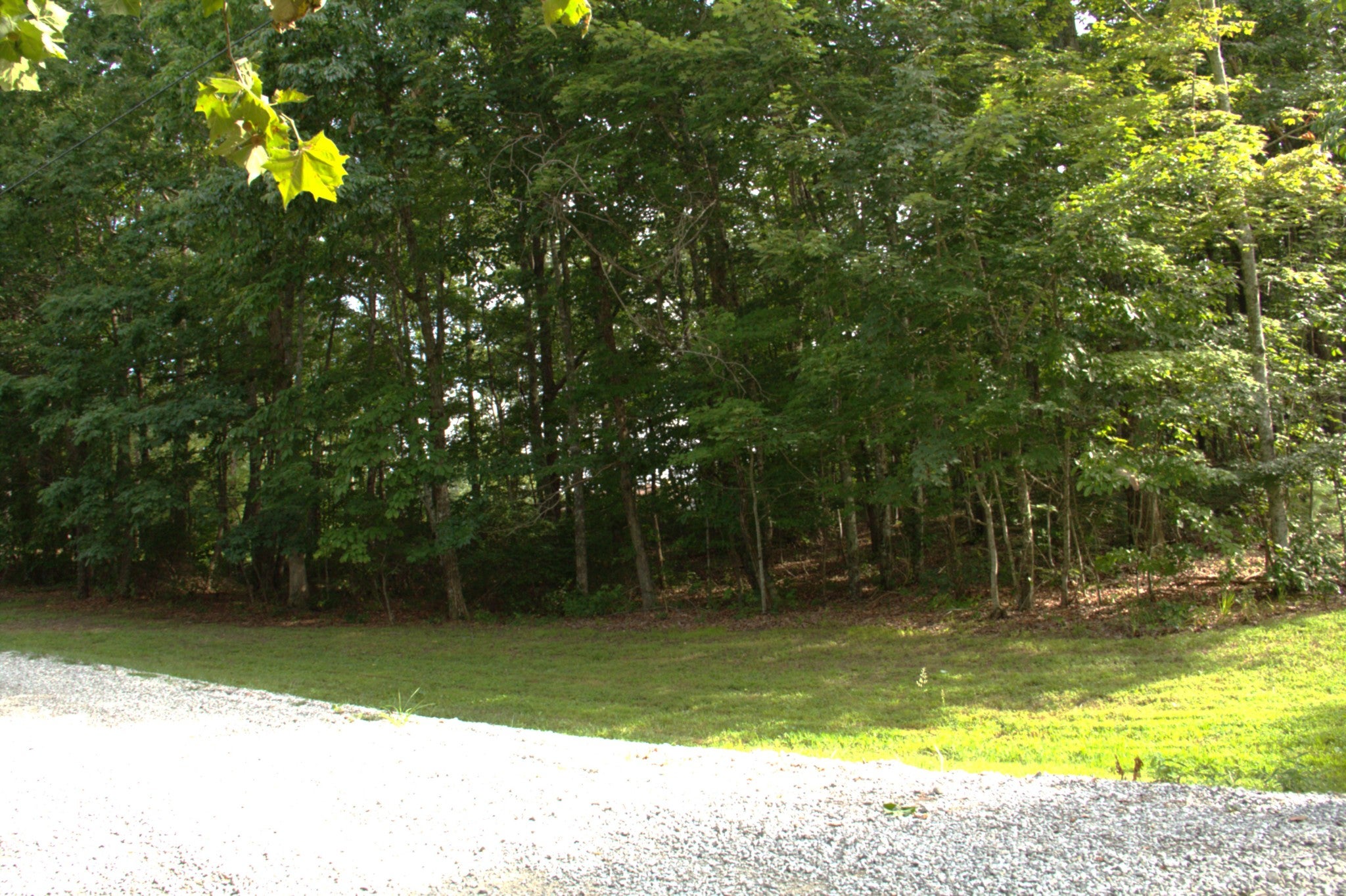 0 Bluff Line Dr
